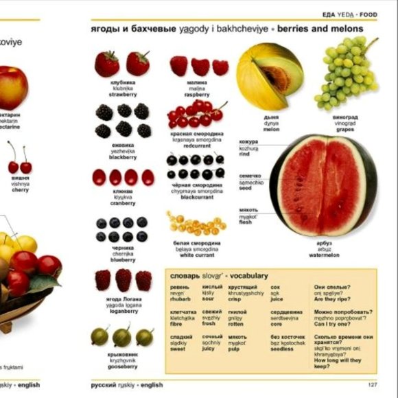 NWT DK Russian-English Bilingual Visual Dictionary Softcover - Picture 7 of 11